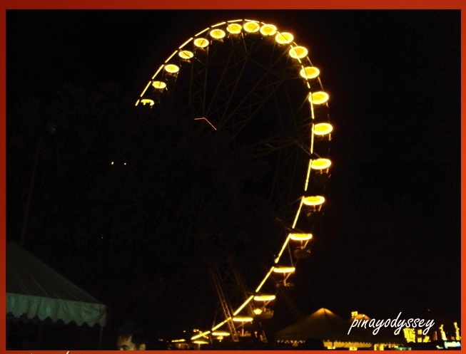 The giant ferris wheel