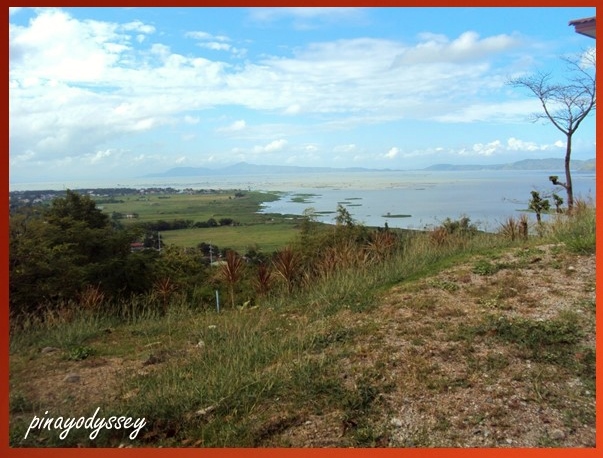 A view from the entrance