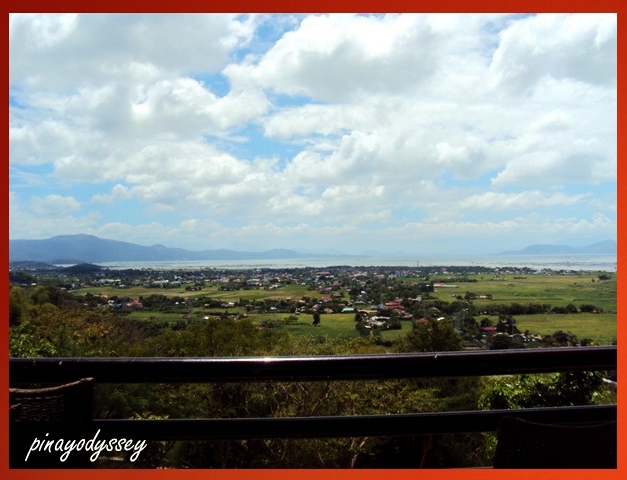 A view from the terrace