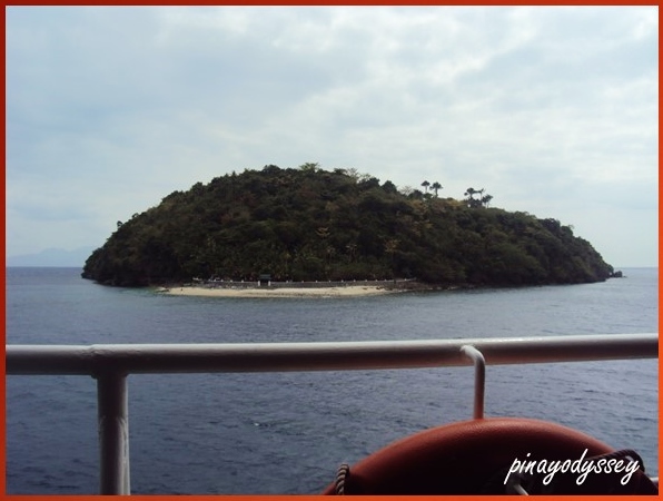 It looks like a peeping blue whale!