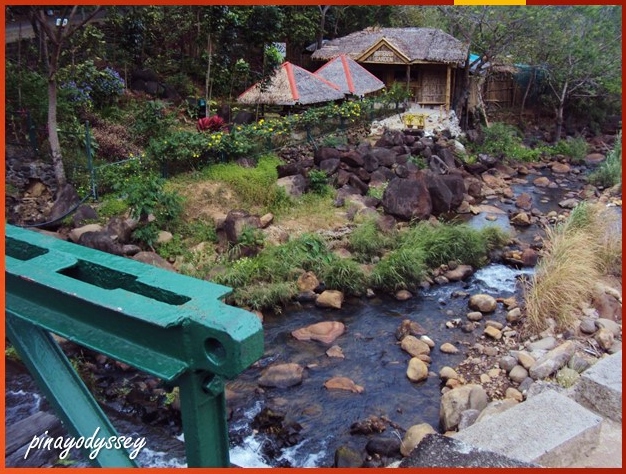 The butterfly garden