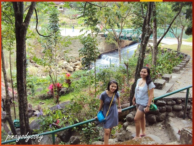 To the butterfly garden