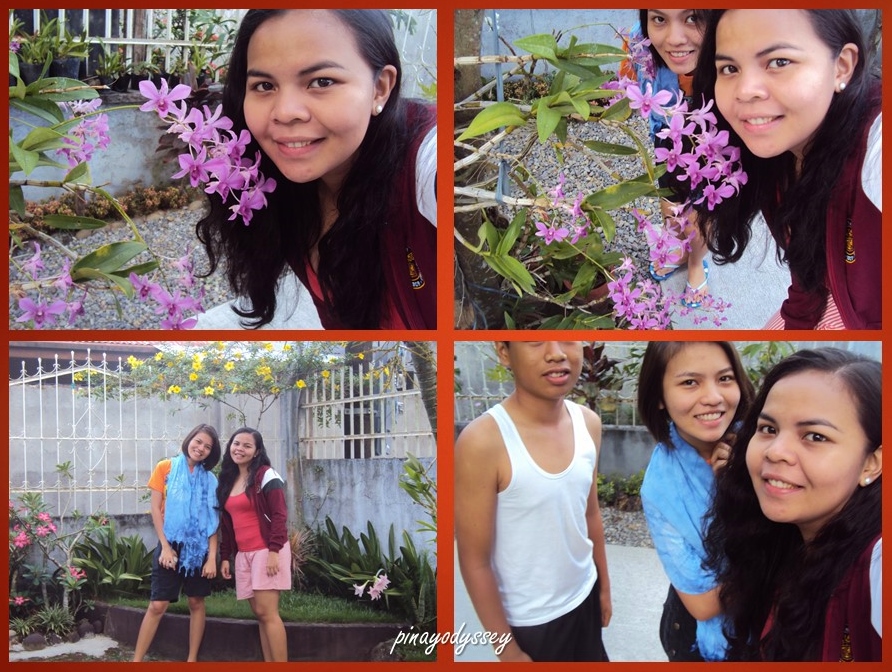 Beautiful flowering plants in the garden