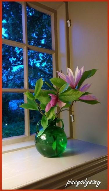 Beautiful flowers picked from the garden