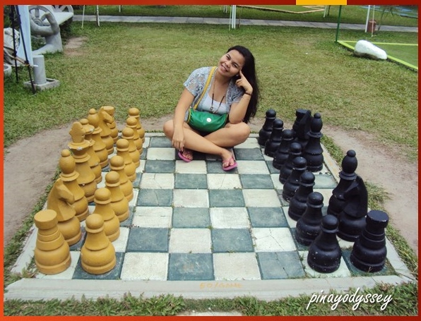 How about we play chess? Dama?