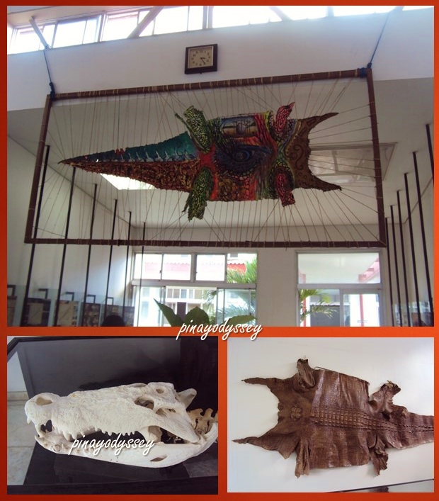 At the Crocodile Museum