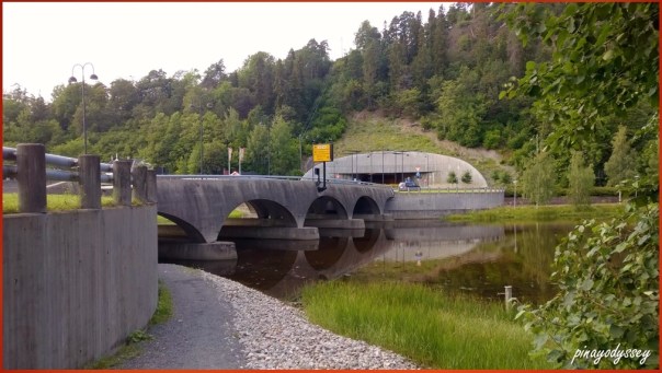 Careful with the ducks! They chase!