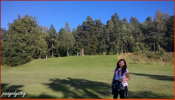 Lovely trees in Blommenholm