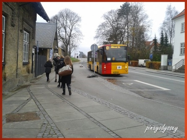 Train buses in winter/autumn