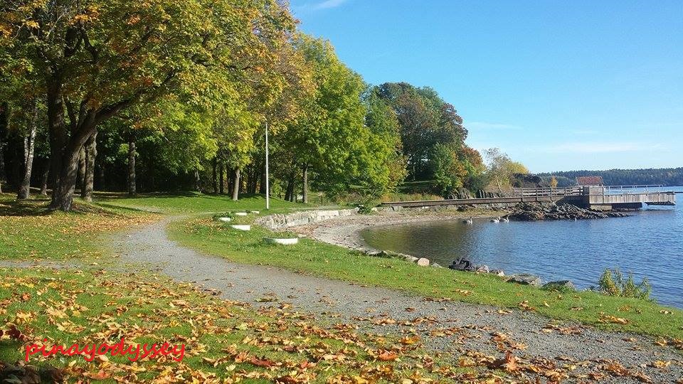 12088116_920516508038459_5579666326071742337_n