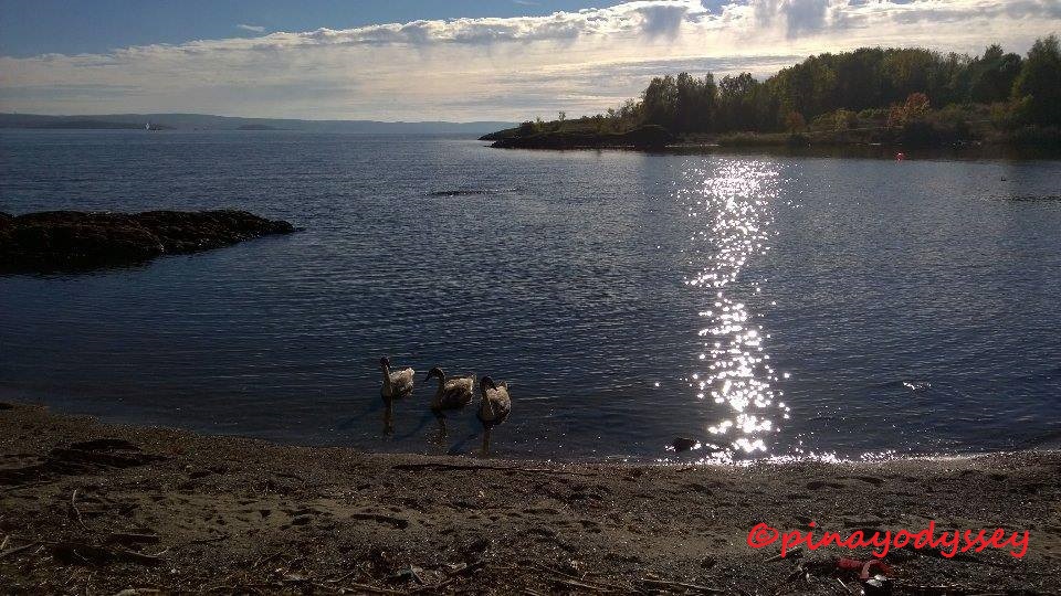 Noontime at Fornebu beach