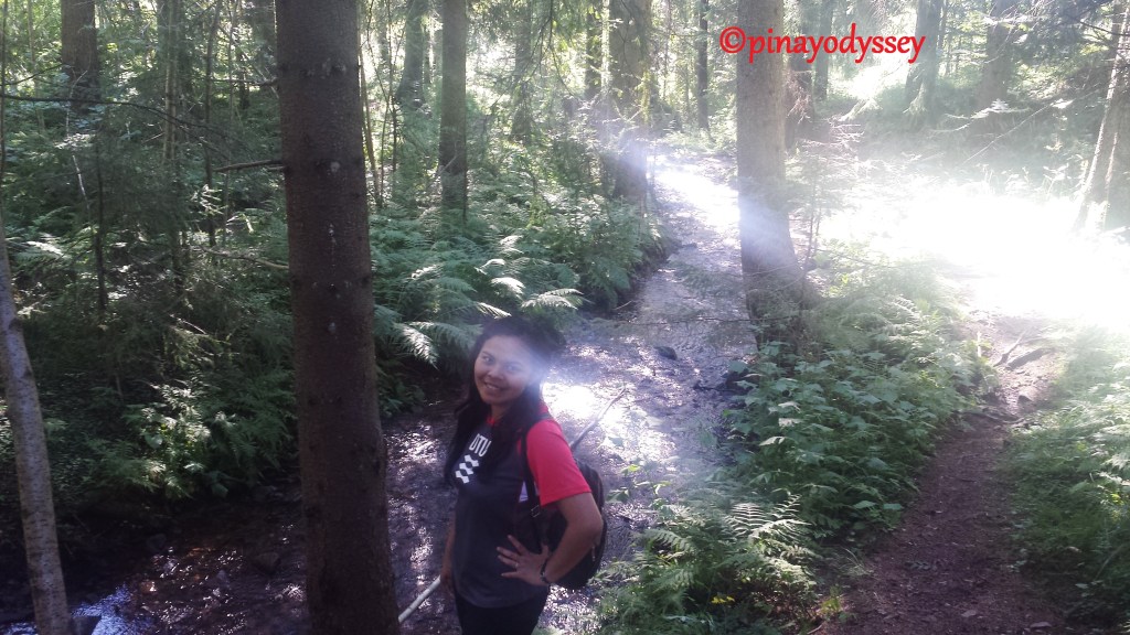 Into the (Norwegian)&nbsp;woods