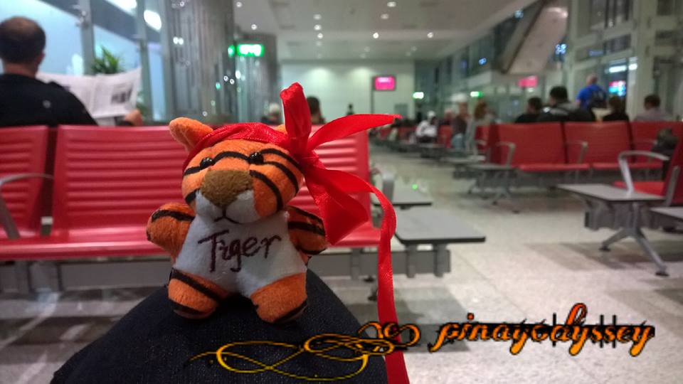 Meet Tigeros, my new travel buddy&nbsp;*rawr*