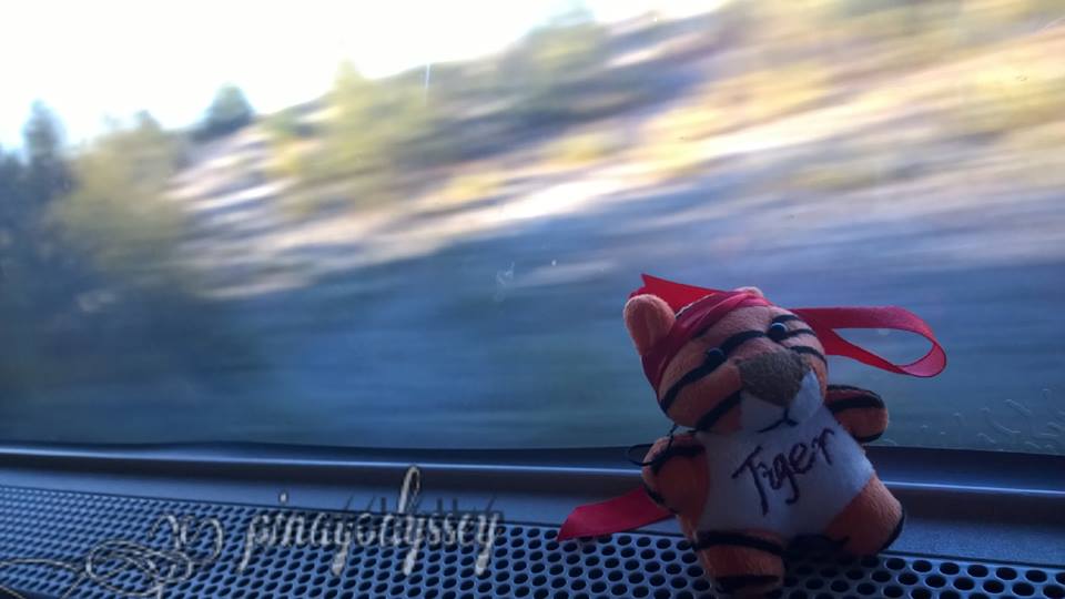 All aboard the Oslo Airport Express Train