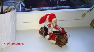 WP_20151222_10_17_06_Pro