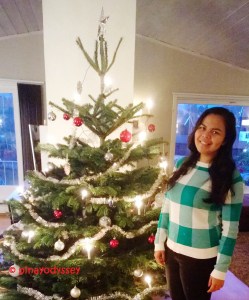 WP_20151224_08_50_57_Pro