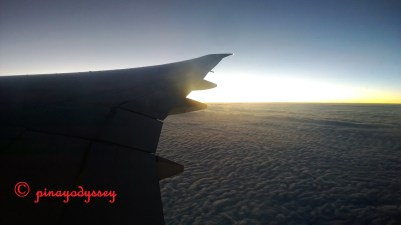 WP_20151122_15_19_38_Pro