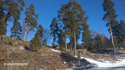 WP_20160214_12_12_40_Pro