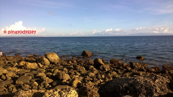 The rocky sea coasts