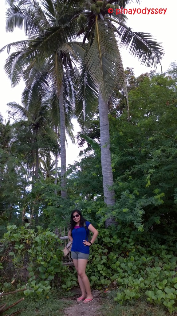 Amidst the towering cocos!