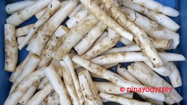 These "balinghoy" will soon be pounded along with milk and butter, to make my favorite snack -- the "niyupak"!