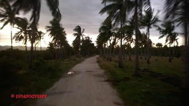 Standing on top of the ride