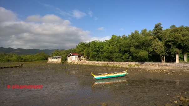 WP_20151128_08_04_23_Pro