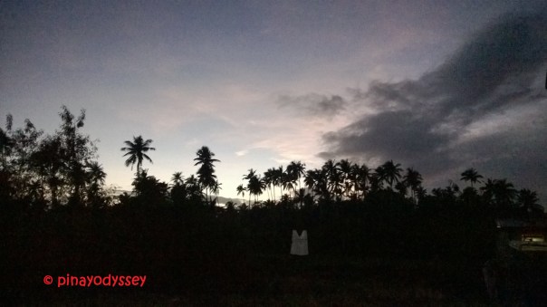 Last shot, before we left San Narciso