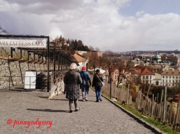 People walking though the vineyard