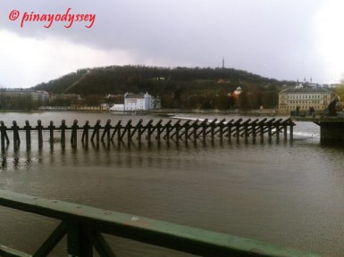 17203_826956897394421_5273496437637527892_n