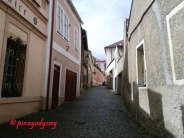 11080948_828311627258948_3421726266794548254_n