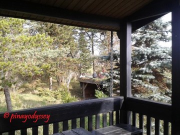 The boys and girl were busy building a treehouse