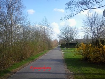 The road going to the supermarket. It wasn't my favorite, as brown snails roam around and dogs startles you from time to time.