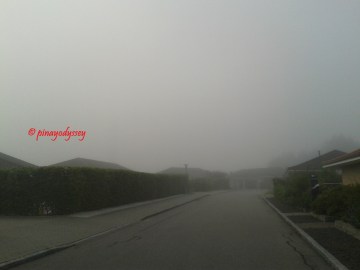 A foggy morning