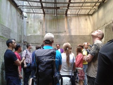 Where the prisoners get fresh air