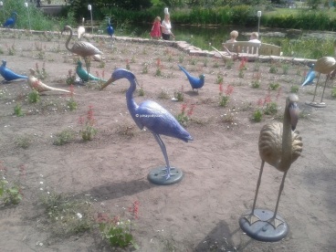Art installation, Botanical Garden