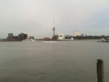 The river Maas/Meuse, with the Rotterdam city center on the other side