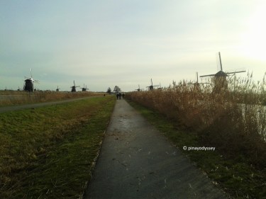 Kinderdijk narrow main road