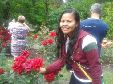 Big, big roses!