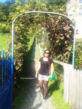 Welcome to Chateau Neercanne