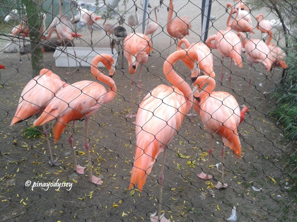 A lovely autumn day at Copenhagen&nbsp;Zoo