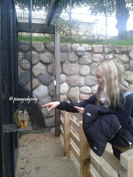 My friend playing with a monkey