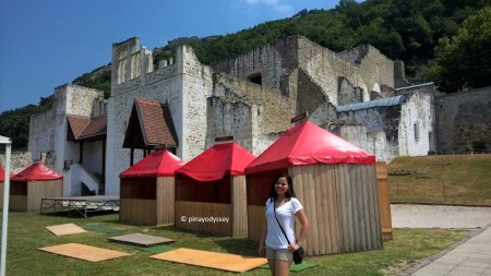 The ruins of the Royal Palace
