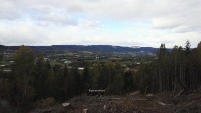 Drammenfjord, from the hills in Lier