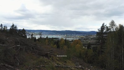 A view from the hills of Lier