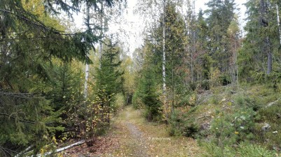 Kjekstadmarka in Lier