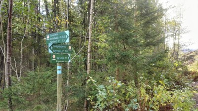 Hiking in Kjekstadmarka