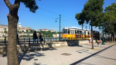 Otw to the Lion Fountain, the city tram