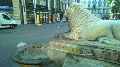The Lion Fountain