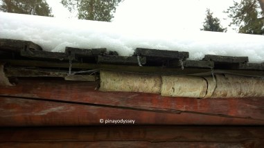 Drammens Friluftsmuseum, a rooftop